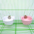 Hamster Ceramic Bowl Hanging Hanging Cage Food Basin Totoro Squirrel Rabbit Anti-Tumble Fixed Feeding Bowl