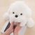 New Lying Dog Doll White Small Lying Dog Plush Toy Cute Dog Play Doll Children's Holiday Gifts