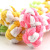 New Pet Animal Cotton Rope Toys Color Bone Cotton Rope Bite-Resistant the Toy Dog Toy Pet Toy