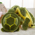 Plush Toy Factory Direct Sales Money Wuhai Turtle Doll Large Doll Sofa Cushion Pillow One Piece Dropshipping