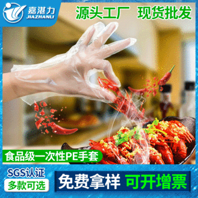 Disposable PE Gloves Thickened Transparent Oil-Proof Beauty and Hairdressing Gloves Catering Food Grade Plastic Film Gloves