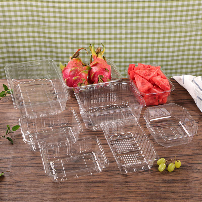 Fruit Container Disposable Tray Transparent Box Plastic Box Fresh Vegetable Box Rectangular Box Roast Duck to-Go Box 1813