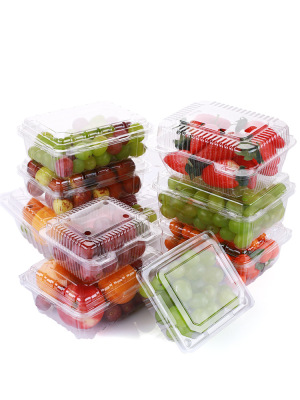 Disposable Transparent Cherry Plastic Packing Box Vegetable Fruit Strawberry Crisper Fruit Fishing Packing Platter 100