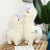 New Cute Alpaca Doll God Beast Grass Mud Horse Plush Toy for Girls Fantasy Alpaca Gift Factory Price Wholesale