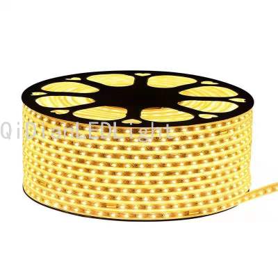 Light Strip Led Three-Color Color Changing Living Room Ceiling Double Row Yellow Warm Light Strip Highlight 220V