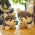 With Bell Husky Doll Cute Lying Two Ha Puppy Plush Toy Large Doll Activity Gift Customization