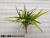 Artificial Fern Home Decoration Bonsai Accessories Flower Arrangement With Balcony Set 15 Pieces Pteris