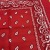 Pure Cotton Red Cashew Scarf Amoeba Outdoor Handkerchief Handkerchief Sports Sweat-Absorbent Square Scarf 55cm
