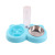 Pet Bowl Drink Fountain Feeder Anti-Choke Slow Feeding Bowl Stainless Steel Dog Bowl Dog Basin Pet Supplies Wholesale