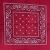 Pure Cotton Red Cashew Scarf Amoeba Outdoor Handkerchief Handkerchief Sports Sweat-Absorbent Square Scarf 55cm