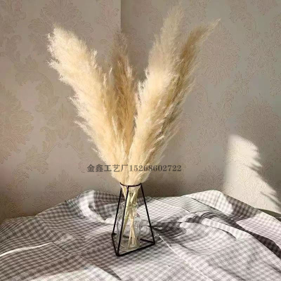  Pampas Grass Decor Extra Large Natural Dried Flowers Bouquet Wedding Flowers Vintage Style for Home Valenti