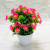 Artificial Bouquet Emulational Flower and Grass Single Plastic Flower Green Plant Flower Arrangement Decoration Decoration Fake Flower Constant Color Floral