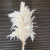 Real Dried Pampas Grass Wedding Decor Flower Bunch Natural Plants Home Decor Fall Decor