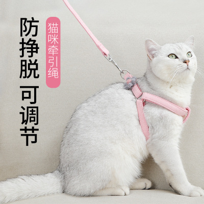 Factory Direct Sales Fashion Korean Cotton Filled Pet Hand Holding Rope Cat Cute Hand Holding Rope Imitation Nylon Chest Back Hand Holding Rope