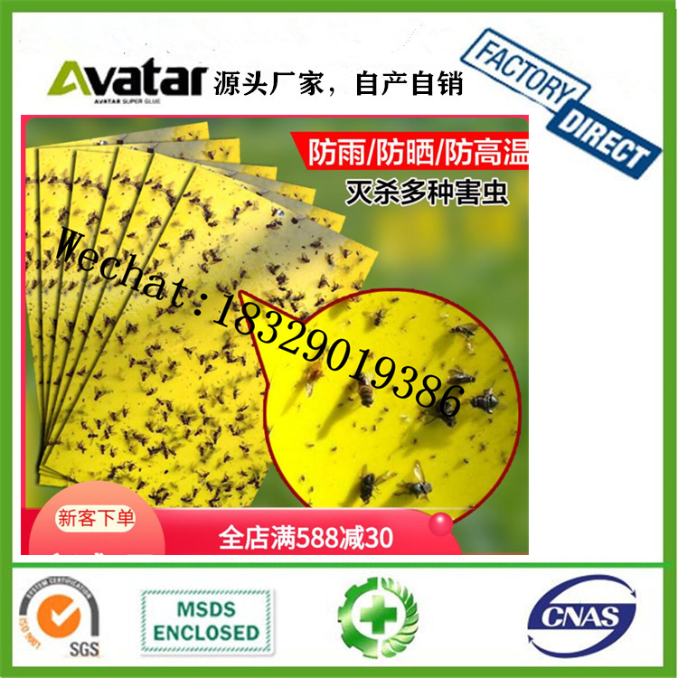 fruit fly sticky trap 双面粘虫板黄板植物诱虫板蚜虫小飞黑虫