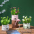 Nordic Style Little Daisy Cloth Bag Ceramic Decoration Ceramic Bonsai Decoration Fake/Artificial Flower Decoration