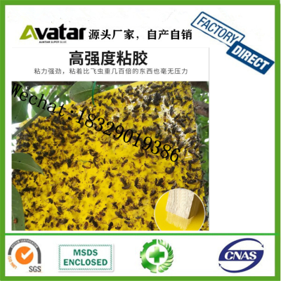 Yellow Sticky Trap Dual-Sided Yellow Fruit Fly Sticky Pest Control Traps