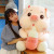 Internet Celebrity Product Bottle Pig Ragdoll Plush Toy Doll Creative Cartoon Doll Girl Cute Sleeping Pillow