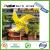 Sticky Fruit Fly and Gnat Trap Yellow Sticky Bug Traps for Indoor/Outdoor Use