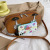 Internet Celebrity Retro Small Bags 2021 Korean-Style Chic and Unique Design Ins Internet Celebrity Girl Shoulder Crossbody Box Bag