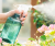 500ml Small Roman Watering Sprinkling Can Small Succulent Spray Pot Transparent Handheld Disinfection
