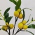 Single Small Lemon Artificial Lemon Fruit Artificial Flower Home Table Decoration Entrance Decoration Flower