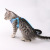 Factory Direct Supply New Bow Vest Style Cat Rope Anti Breaking Loose Adjustable Cat Traction Rope Chest Back Cat Leash Cat Rope