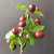 Wholesale Single Small Cherry Artificial Cherry Fruit for Dining-Table Decoration Window Sill Display