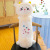 Novelty Toys New Alpaca Plush Toy Grass Mud Horse Doll Creative Trending Stall Promotion Toy Doll