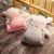 Cartoon Hippo Pillow and Quilt Dual-Use Cushion Car and Office Coral Fleece Air Conditioning Nap Blanket Midnight Sleeping Pillow