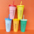 Starbocks Ins Style Cup with Straw Pp Temperature-Sensitive Plastic Discoloration Cup Student Drinking Cup with Lid Can Be Customized Logo