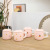 Korean Style Pink Cartoon Cute Rabbit Ceramic Cup Girl's Heart Office Coffee Cup Artistic Fresh Mark Cup