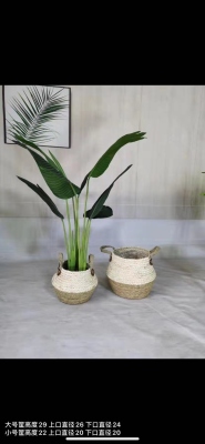 Water Plants Woven Flower Basket, Storage Basket