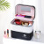 INS New Color Matching Large Capacity Cosmetic Bag Women's Portable and Simple Cosmetics Multi-Layer Storage Box Online Celebrity Suitcase Portable