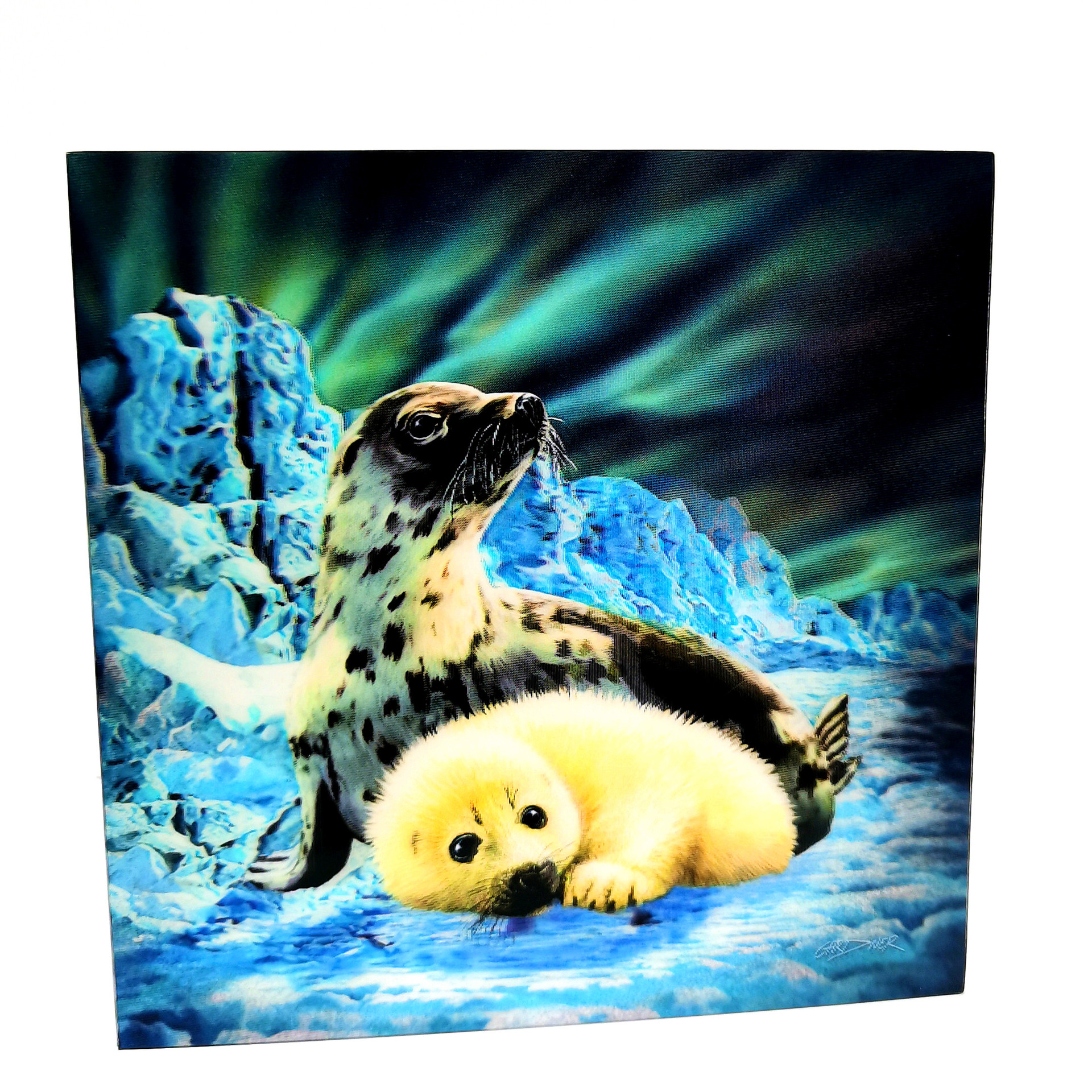 高清三维光栅立体画  3D立体明信片 贺卡  亚马孙货源  创意贺卡