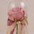 Preserved Fresh Flower Luminous Glass Cover Artificial Rose with LED Light Set Atmosphere Gift Valentine's Day Creative Gift