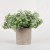 Amazon Hot Selling Product Nordic Style Simulation Flower Pot Pulp Bonsai