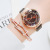 New Women's Quicksand Quartz Women's Watch Korean Fashion Trendy Women's Magnetic Buckle All-Matching Watch Factory Direct Sales