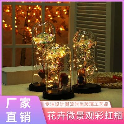 Transparent Flower Wishing Bottle Led Glass Cover Valentine's Day Gift