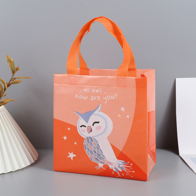 Cute Gravure Cartoon Starry Night Owl Non-Woven Fabric Portable Handbag Children's Birthday Gifts Packaging Bag Manufacturer