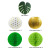 Amazon Wild One Balloon Birthday Set Paper Flow Lantern Floral Ball Artificial Monstera Leaf Children's Party