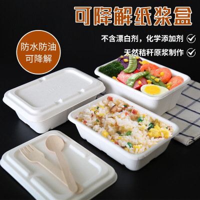 Square to-Go Box Disposable Bagasse Degradable Pulp Lunch Boxes Bento Take-out Box Vegetable Salad Box