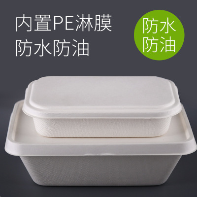 Disposable Aviation Pulp Lunch Boxes Bagasse Pulp Take-out Box Rectangular Fitness Light Food Vegetable Salad Box