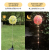 LED Solar Lawn Lamp Creative Dandelion Flower Ball Lamp Outdoor Flower Bed Landscape Lamp Garden Lamp with Light Control