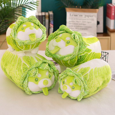 Novelty Toy New Vegetable Plush Toy Vegetable Dog Baby Doll Doll Cabbage Holding Stall Promotion Doll