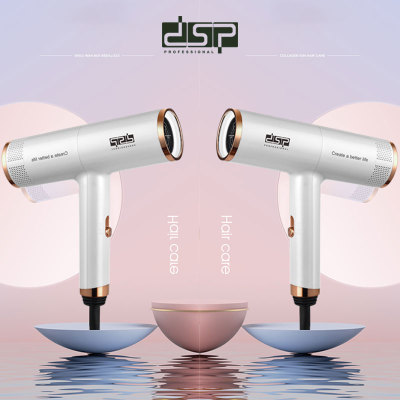 DSP DSP Cross-Border Direct Supply Household Internet Celebrity T Type 2-Speed Hair Dryer Heating and Cooling Air High Power Hair Dryer
