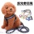 Pet Supplies Hand Holding Rope Reflective Hand Holding Rope