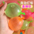 Water Balloon Fast Water Balloon Water Balloon Water Fight Irrigation Water Ball Vent Ball Children's Toy Automatic Sealing Water Ball