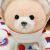 Space Bear Doll Astronaut Bear Doll Cute Plush Toy Little Bear Ragdoll Decoration Opening Season Gift