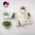 Nordic Wall Shelf Background Wall Decoration Shelf Living Room Partition Bookshelf Wall Succulent Flower Stand Iron Wall Hanging